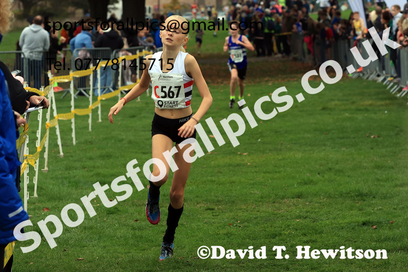 Girls Under-13s relay, 2025 Northern Cross Country Relays, Graves Park, Sheffield. Photo: David T. Hewitson/Sports for All Pics